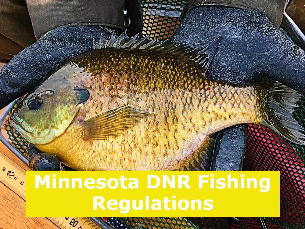 Minnesota DNR Fishing Regulations
