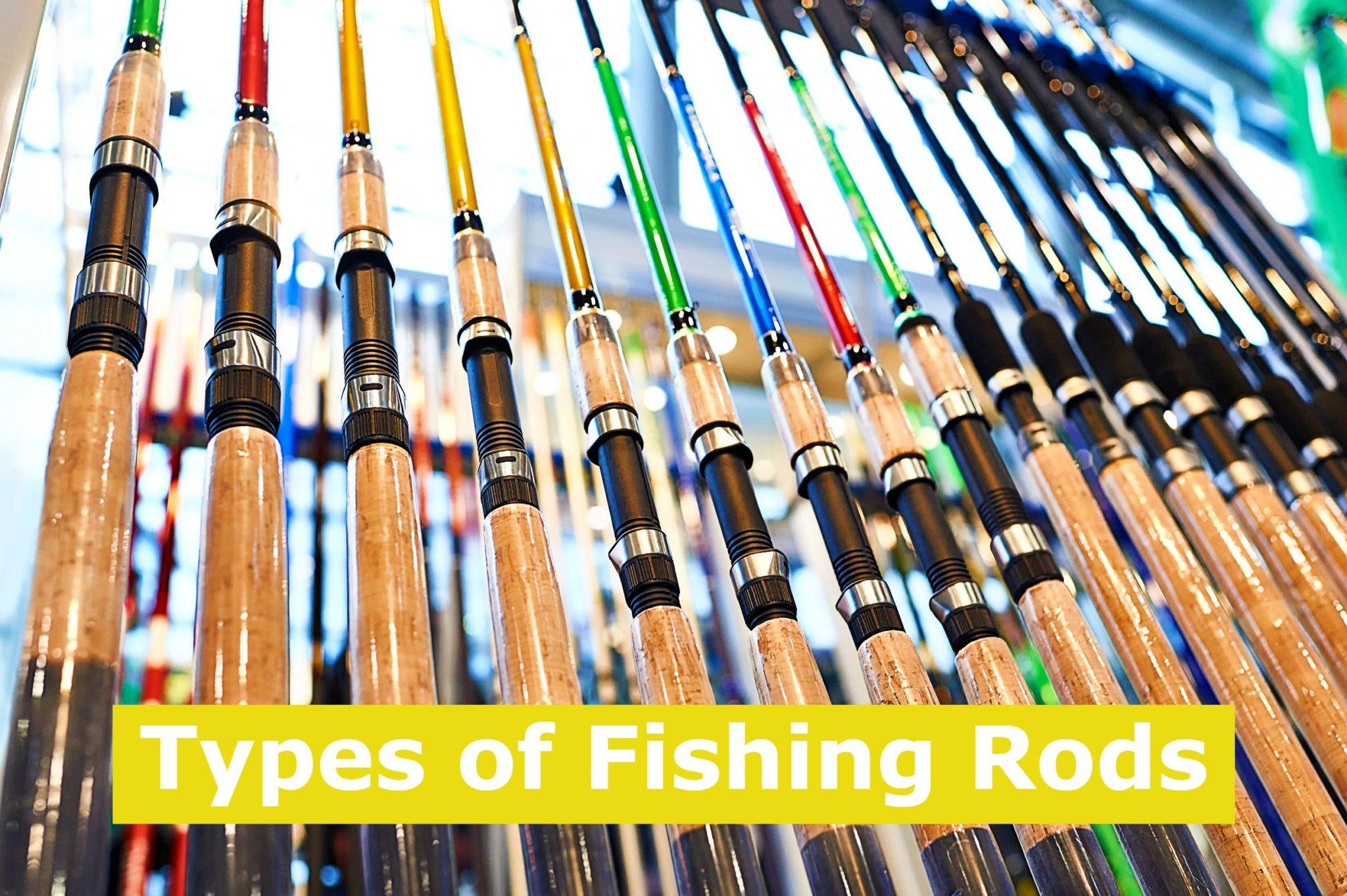 Types Of Fishing Rods   Types Of Fishing Rods 2048x1363 